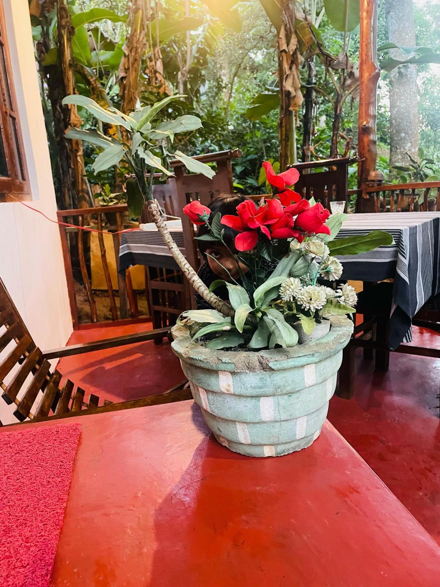 Hidden Gem Inn Procida Dış mekan fotoğraf